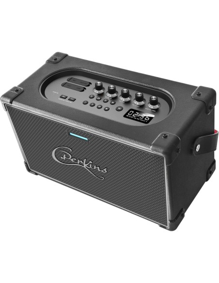 C. Perkins Nashville Sound – Vue de l’enceinte et de ses commandes