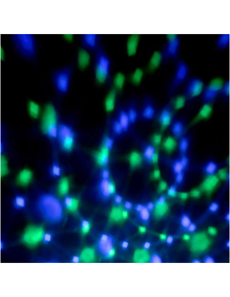 BoomTone DJ Twist Ball - Effet à Led