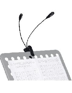 RTX LP2L – Lampe sur flexible à clipser 2 LED (4 led)