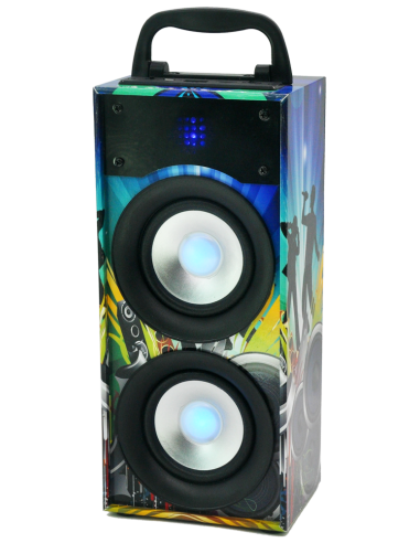 PARTY LIGHT & SOUND PARTY-DISCO2 – Mini colonne autonome 20W avec lecteur USB