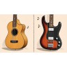 Guitares & Basses